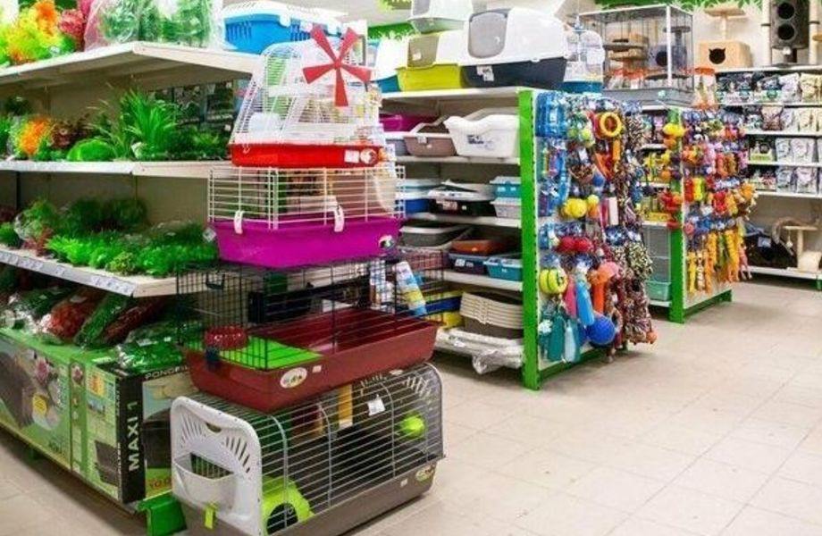 Qorlyn: Your Trusted Pet Store